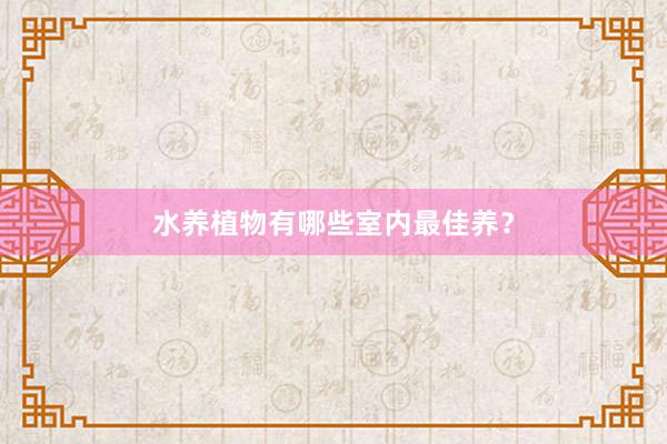 水养植物有哪些室内最佳养？